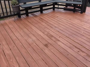 Western Red Cedar heartwood versus sapwood comparison detail close-up
