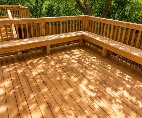 onion creek area deck austin